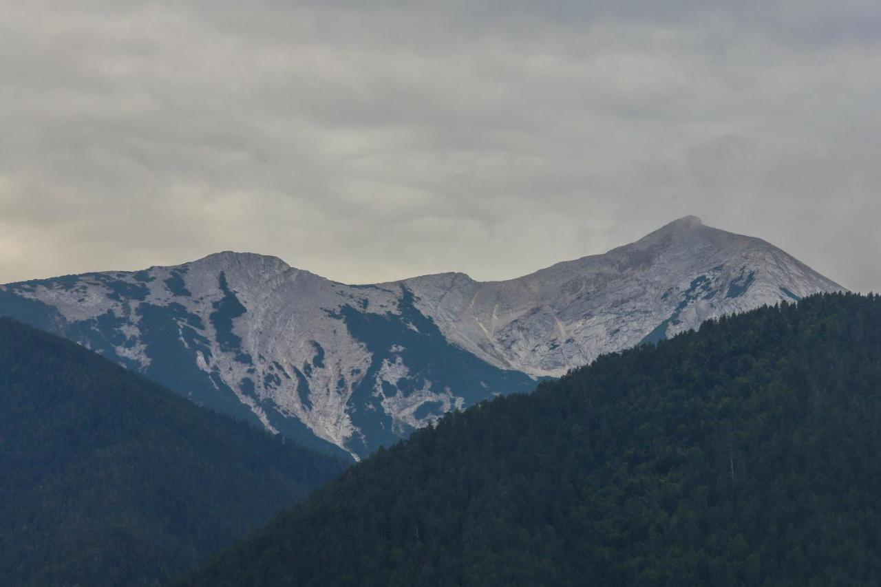 Mountain Hawk Park Villa Bansko Exteriör bild